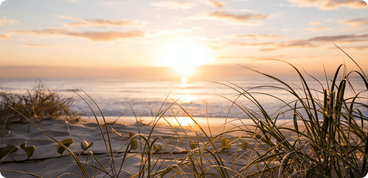 Intuitive Readings & Healings